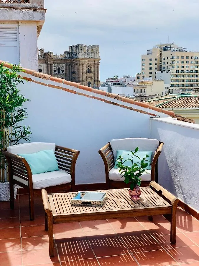 Apartment Las Flores - Atico Duplex Con Terraza - Probeyma - Malaga